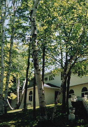 White Birch Inn Стерджен-Бей Экстерьер фото